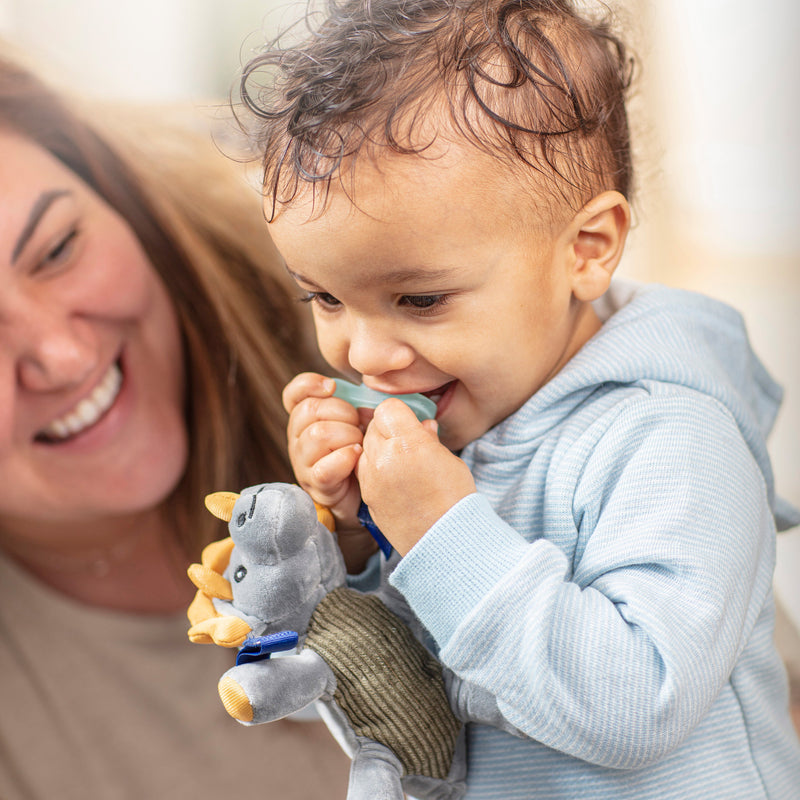 Dr. Brown's Lovey Triceratops with Pacifier and Teether Holder