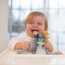 Dr. Brown's Lovey Triceratops with Pacifier and Teether Holder