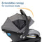 Maxi-Cosi Mico Luxe+ Infant Car Seat