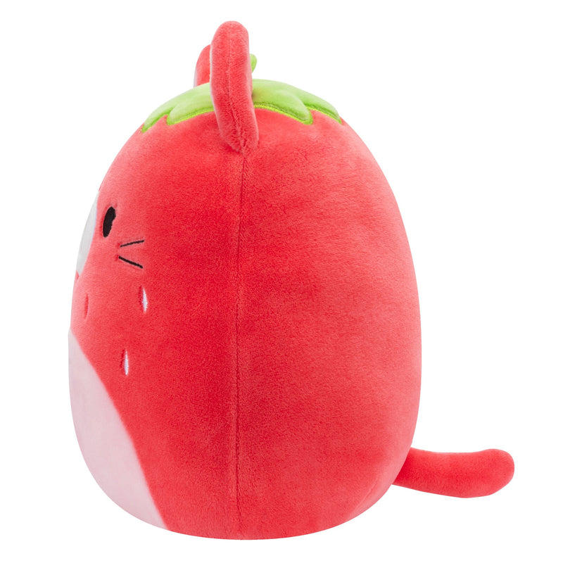 Olma the Strawberry Cat