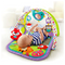 Fisher-Price 3 in 1 Musical Activity Gym