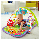 Fisher-Price 3 in 1 Musical Activity Gym